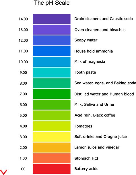 Ph Scale Acids And Bases