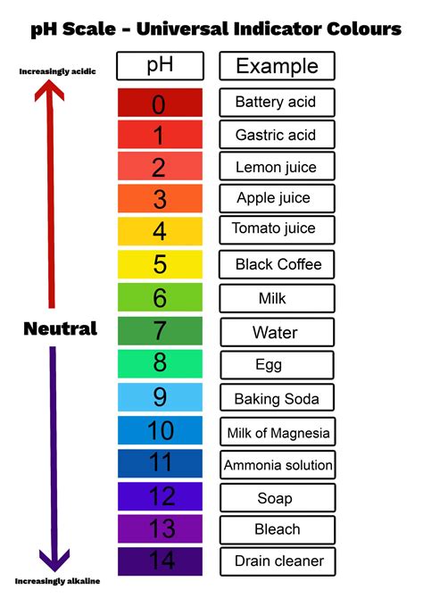 What is the pH Scale?