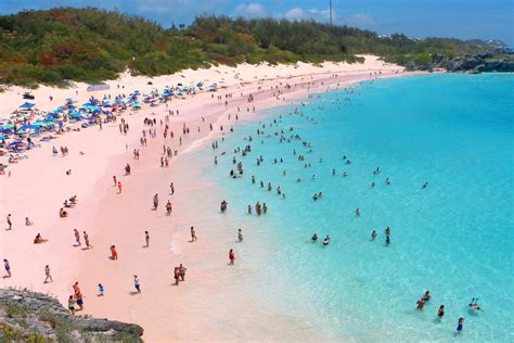 10 Pink Beaches and Lakes