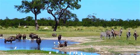 5+ Top Botswana Tourist Attractions & Places to Visit