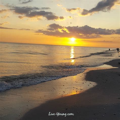 Healthy Posts | Live Young - Lou Ann Donovan