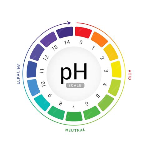 Premium Vector | PH scale indicator chart diagram acidic alkaline ...