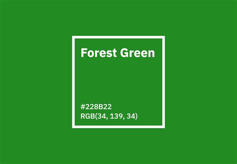 Forest Green Color Hex, RGB, CMYK, Pantone Color Codes, 60% OFF