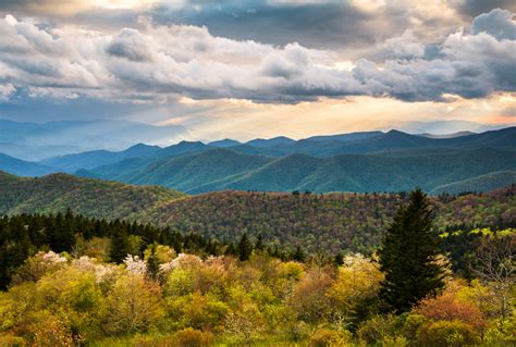 Travel the American South with Moon | Moon Travel Guides