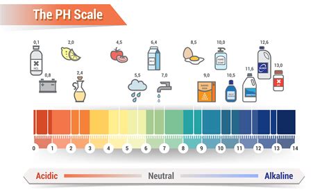 Understanding The Ph Scale