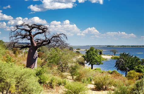 Ten interesting facts about Botswana - TravelingEast