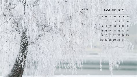 Desktop Calendar 2025 Wallpaper - Maggy Rosette
