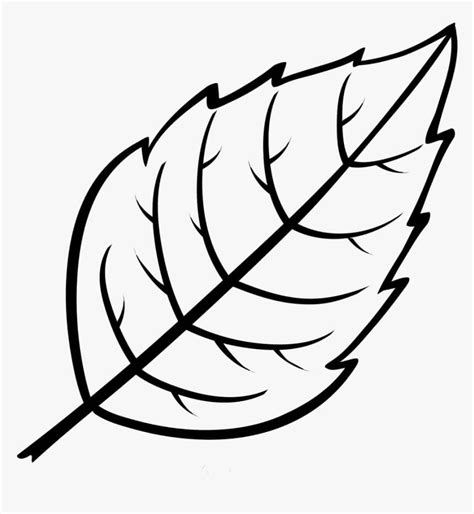 Hoja Normal para colorear, imprimir e dibujar –ColoringOnly.Com