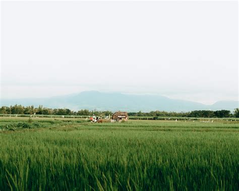 Farmji Campound Pictures | Download Free Images on Unsplash