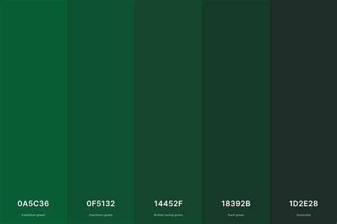 35+ Best Green Color Palettes with Names and Hex Codes – CreativeBooster