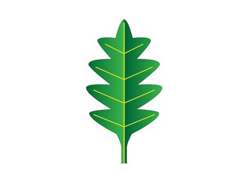 TIPOS DE HOJAS - Botanipedia