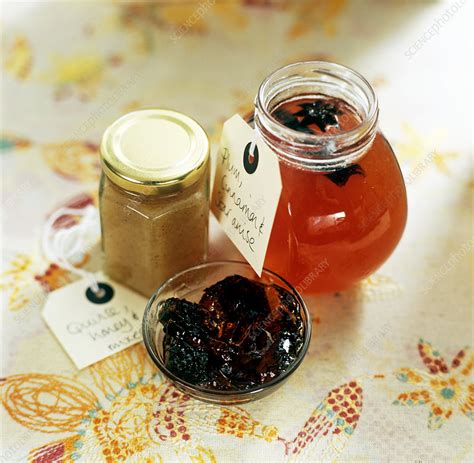 Homemade food - Stock Image - H110/4393 - Science Photo Library