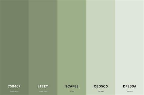 35+ Best Green Color Palettes with Names and Hex Codes – CreativeBooster