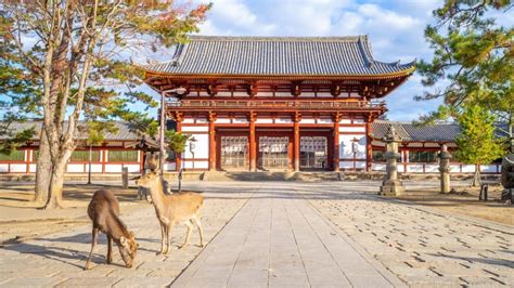 El río que se volvió azul: Japón despierta con una imagen surrealista ...