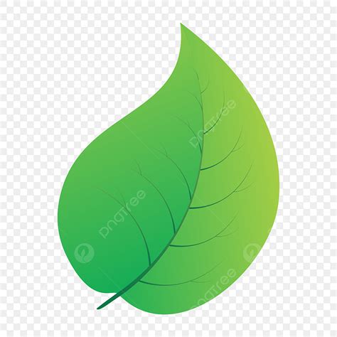 Una Hoja PNG , Clipart De Hoja, Hoja Verde, Hoja PNG Imagen para ...