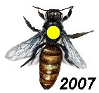 Comunidad de foros de Apicultura - Enjambres 2009 - Archivo temas con ...