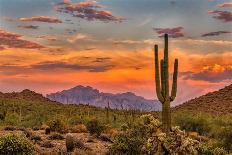 11 Interesting And Beautiful Places To Visit In Phoenix, AZ
