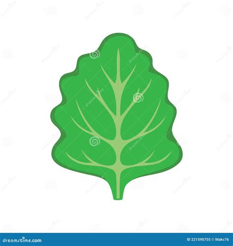 Hoja De Lechuga Verde Fresca Aislada En Blanco Ilustración del Vector ...