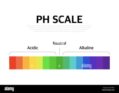 The Ph scale universal Indicator ph Color Chart diagram. Vector ...