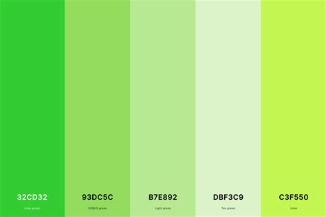 35+ Best Green Color Palettes with Names and Hex Codes – CreativeBooster