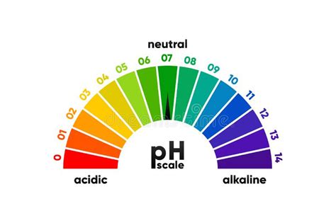 PH Scale Meter for Acidic and Alkaline Solutions. Acid-base Balance ...
