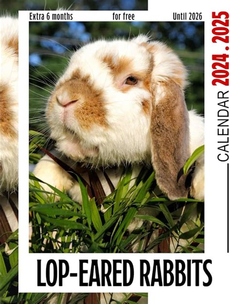 Rabbit Calendar 2025 Calendar 2025 - shani carmine