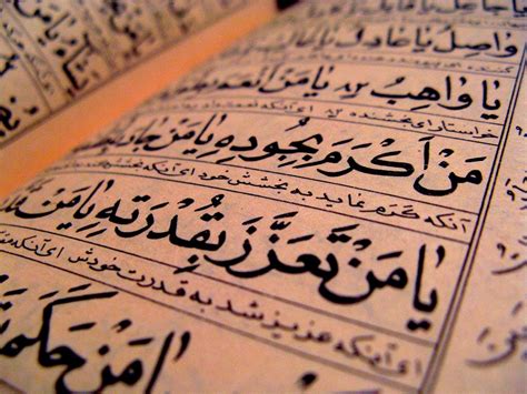 10 interesting facts about the Arabic language: | by Dadafish | Medium