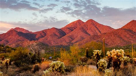 A Design Lover’s Guide to Scottsdale, Arizona—Frank Lloyd Wright’s ...