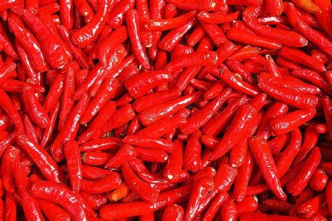 Shades of Red - Exploring and Using the Red Color Spectrum