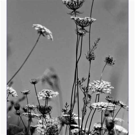 Black and White 2025 Calendar - Etsy