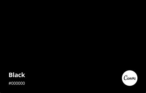Black Color Swatch