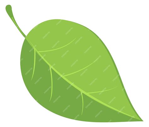 Follaje de primavera de árbol de dibujos animados icono de hoja verde ...