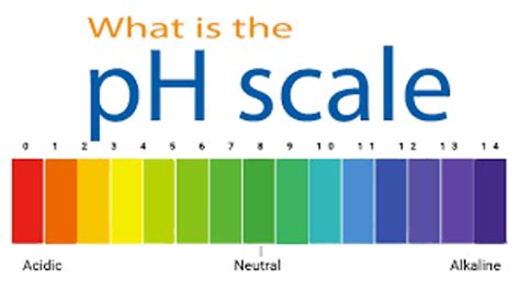 Ph Scale Examples